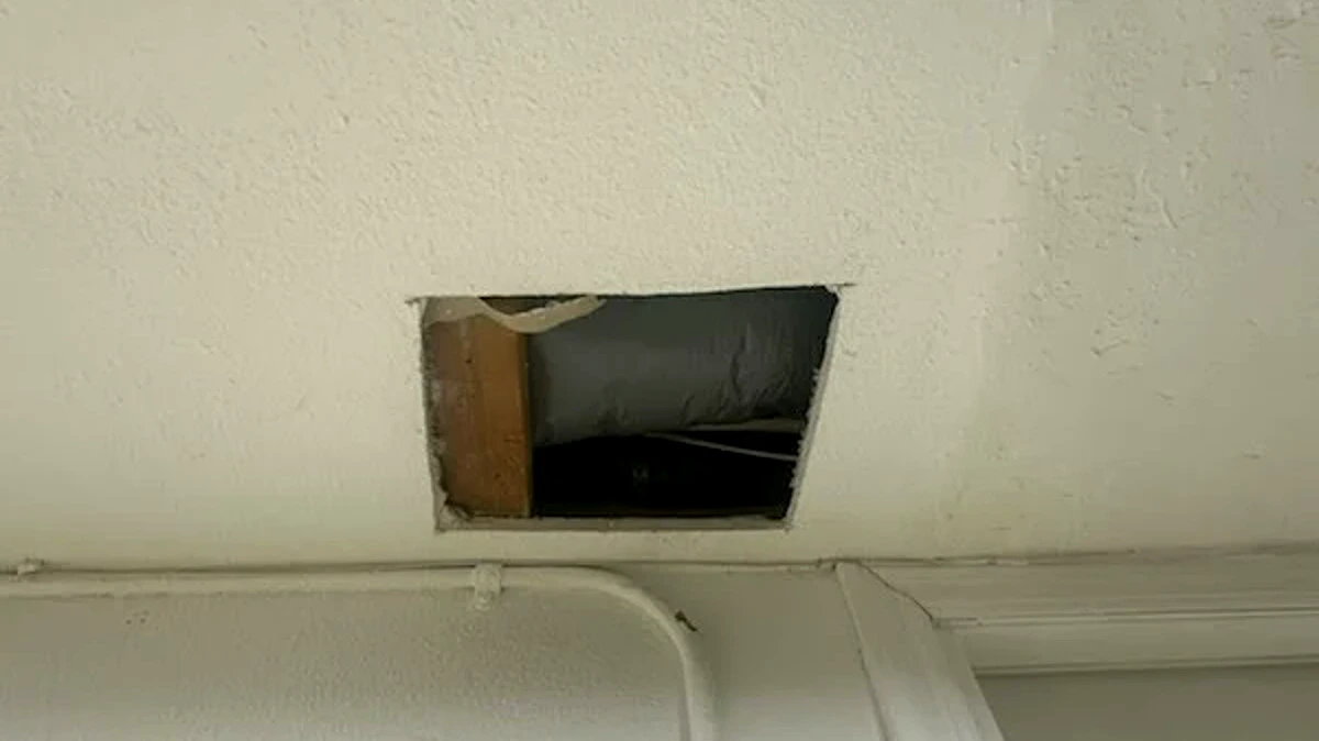 Ceiling Repair article illustration for crack on ceiling drywall