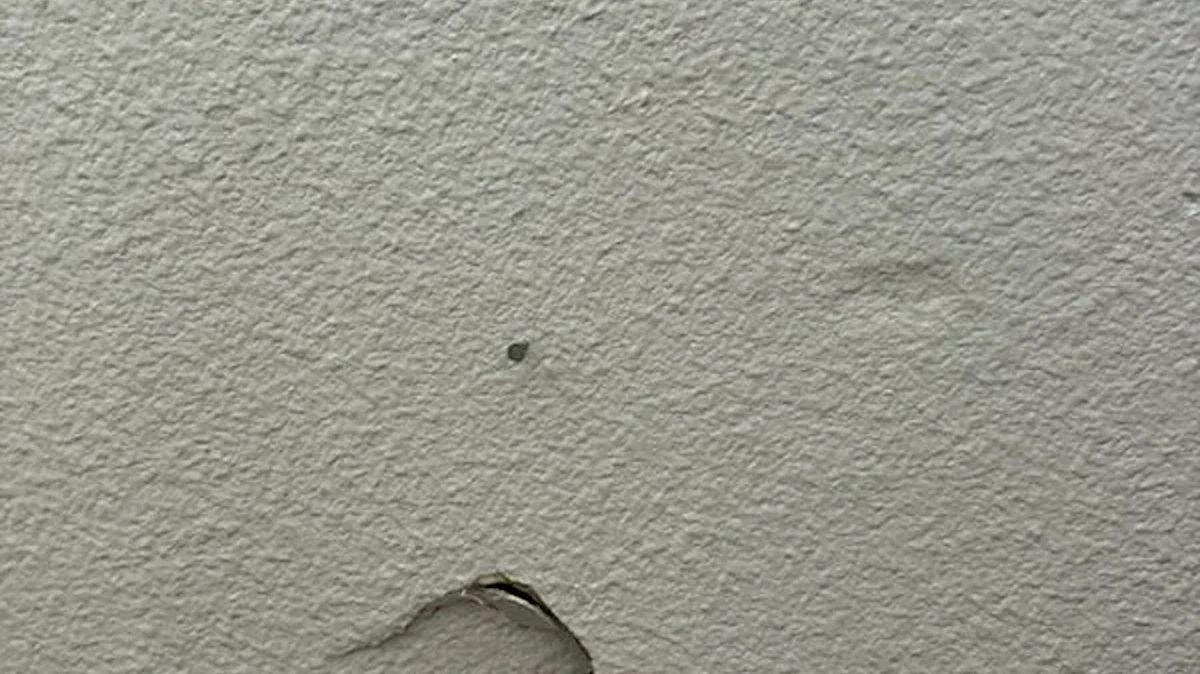 Repair Cost & Estimates article illustration for drywall repair costs